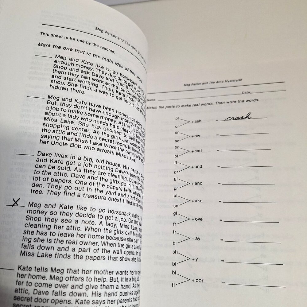 Teachers Edition Activity Worksheets Meg Parker Mystery Set 2 Eleanor Robins - Picture 8 of 12